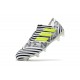 Botas Adidas Nemeziz Messi 17+ 360 Agility FG -