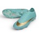 Nike Air Zoom Mercurial Vapor 17 Elite FG Brillo verde Mtlc Dorado