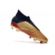 Zapatillas de Fútbol adidas Predator 19+ FG Oro Plata Rojo