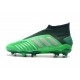 Zapatillas de Fútbol adidas Predator 19+ FG Verde Negro Argento