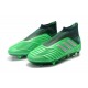 Zapatillas de Fútbol adidas Predator 19+ FG Verde Negro Argento