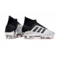 Zapatillas de Fútbol adidas Predator 19+ FG Argento Negro